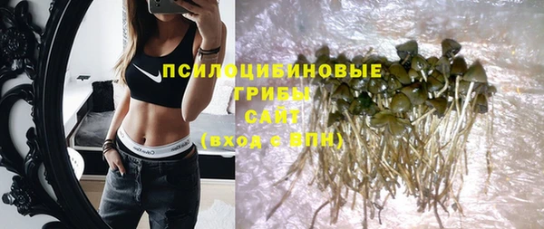 бошки Абинск