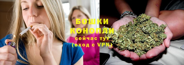 дурь Лиски
